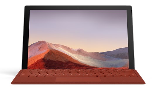 特克斯清洁和维护 Surface